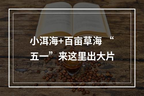 小洱海+百亩草海 “五一”来这里出大片