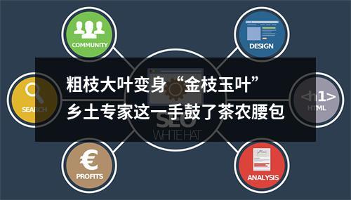 粗枝大叶变身“金枝玉叶” 乡土专家这一手鼓了茶农腰包