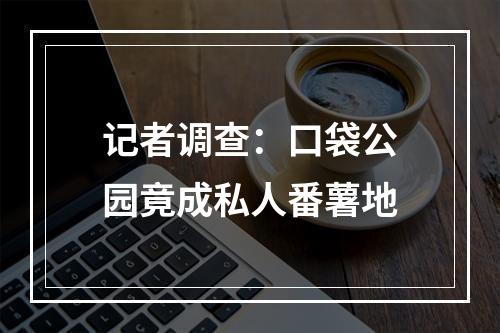 记者调查：口袋公园竟成私人番薯地