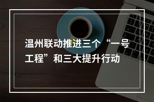 温州联动推进三个“一号工程”和三大提升行动