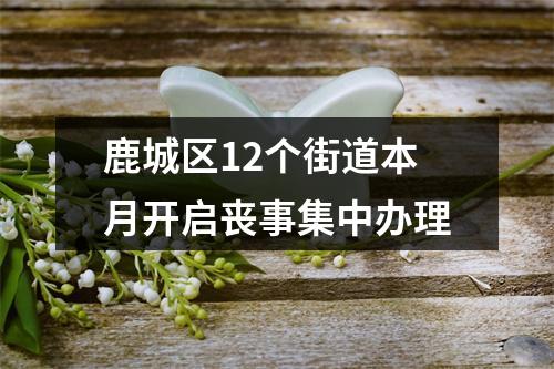 鹿城区12个街道本月开启丧事集中办理