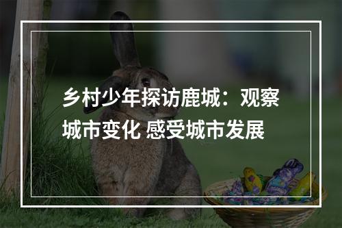 乡村少年探访鹿城：观察城市变化 感受城市发展