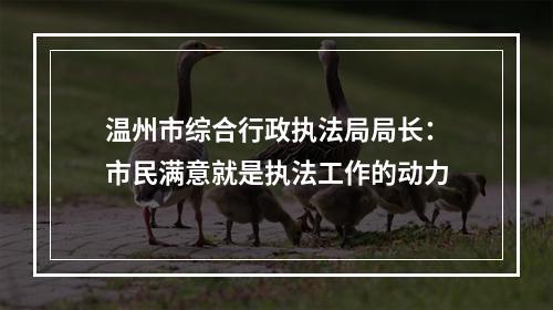 温州市综合行政执法局局长：市民满意就是执法工作的动力
