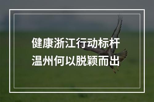 健康浙江行动标杆 温州何以脱颖而出