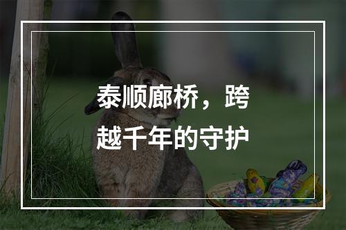 泰顺廊桥，跨越千年的守护