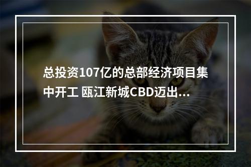 总投资107亿的总部经济项目集中开工 瓯江新城CBD迈出坚实一步