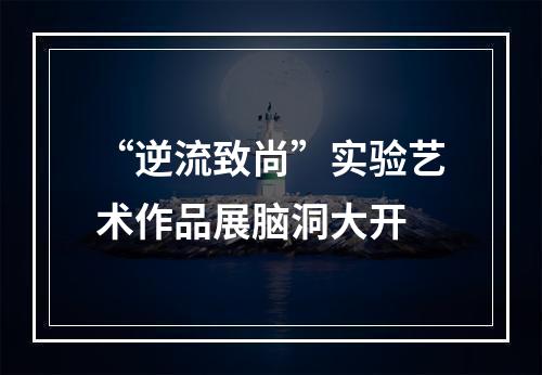 “逆流致尚”实验艺术作品展脑洞大开