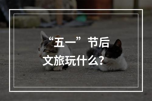 “五一”节后文旅玩什么？