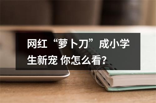 网红“萝卜刀”成小学生新宠 你怎么看？