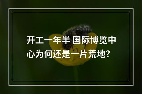 开工一年半 国际博览中心为何还是一片荒地？