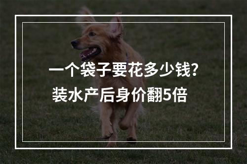 一个袋子要花多少钱？ 装水产后身价翻5倍