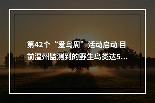 第42个“爱鸟周”活动启动 目前温州监测到的野生鸟类达500余种
