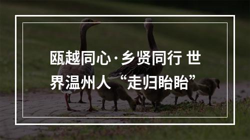 瓯越同心·乡贤同行 世界温州人“走归眙眙”