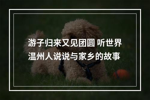 游子归来又见团圆 听世界温州人说说与家乡的故事