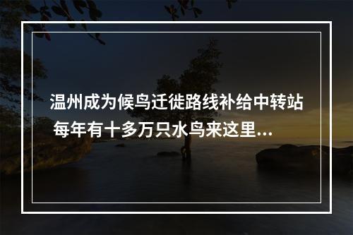 温州成为候鸟迁徙路线补给中转站 每年有十多万只水鸟来这里做客