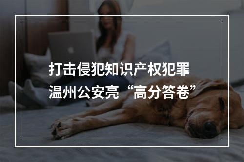 打击侵犯知识产权犯罪 温州公安亮“高分答卷”