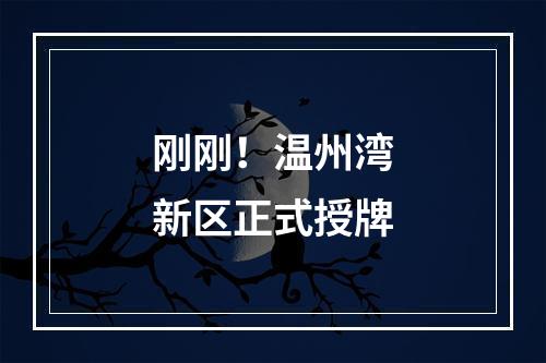 刚刚！温州湾新区正式授牌