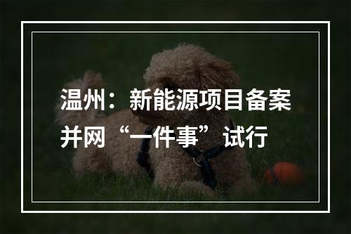 温州：新能源项目备案并网“一件事”试行