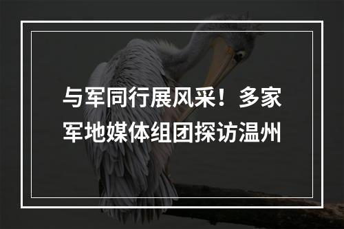 与军同行展风采！多家军地媒体组团探访温州