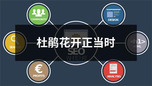 杜鹃花开正当时