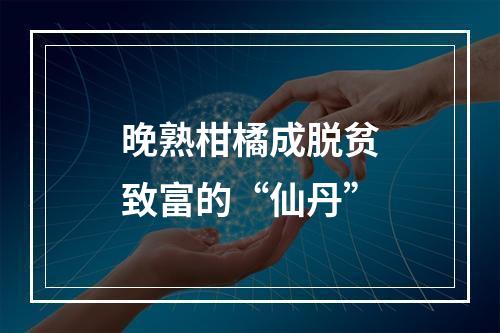 晚熟柑橘成脱贫致富的“仙丹”