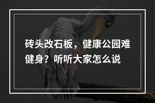 砖头改石板，健康公园难健身？听听大家怎么说