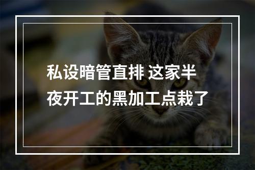 私设暗管直排 这家半夜开工的黑加工点栽了