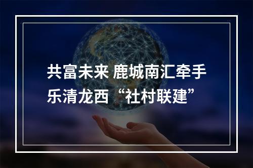 共富未来 鹿城南汇牵手乐清龙西“社村联建”