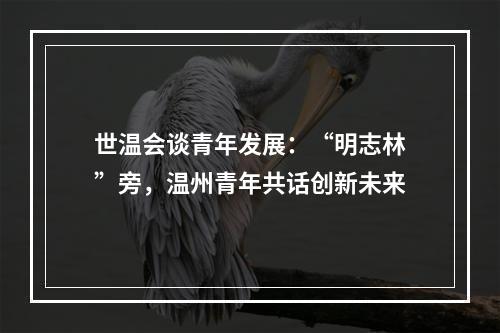 世温会谈青年发展：“明志林”旁，温州青年共话创新未来