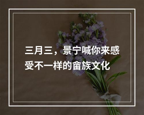 三月三，景宁喊你来感受不一样的畲族文化