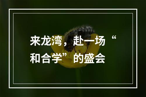 来龙湾，赴一场“和合学”的盛会