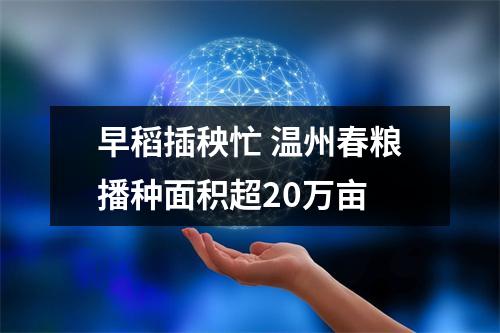 早稻插秧忙 温州春粮播种面积超20万亩