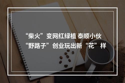 “柴火”变网红绿植 泰顺小伙“野路子”创业玩出新“花”样