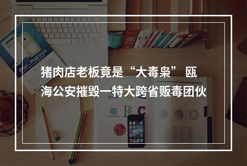 猪肉店老板竟是“大毒枭” 瓯海公安摧毁一特大跨省贩毒团伙
