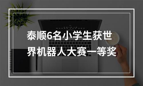 泰顺6名小学生获世界机器人大赛一等奖