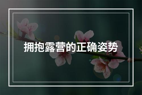拥抱露营的正确姿势