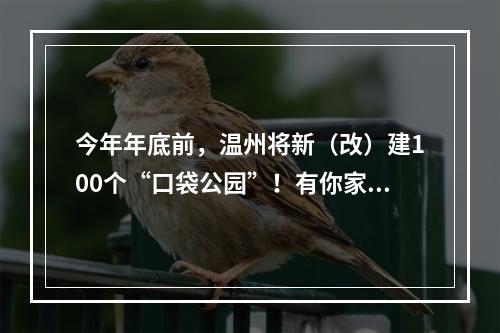 今年年底前，温州将新（改）建100个“口袋公园”！有你家附近的吗？