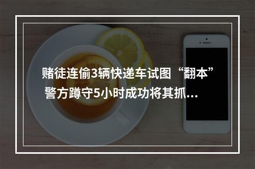 赌徒连偷3辆快递车试图“翻本” 警方蹲守5小时成功将其抓获