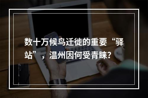 数十万候鸟迁徙的重要“驿站”，温州因何受青睐？