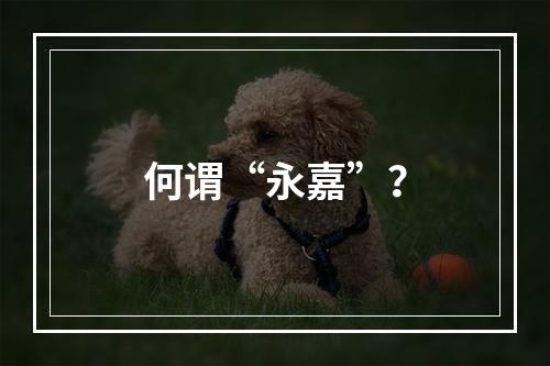 何谓“永嘉”？