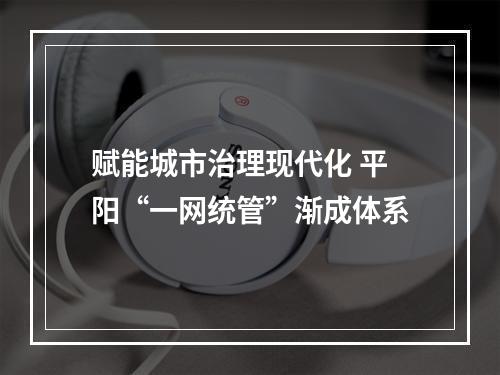 赋能城市治理现代化 平阳“一网统管”渐成体系