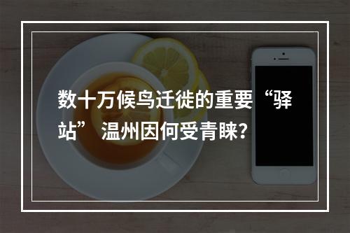 数十万候鸟迁徙的重要“驿站” 温州因何受青睐？