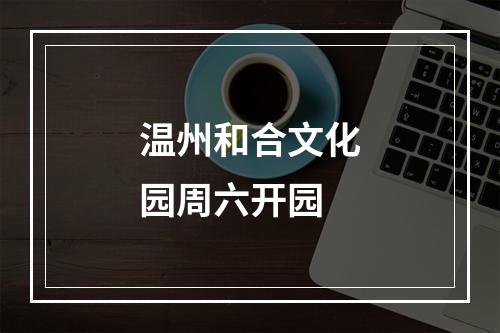 温州和合文化园周六开园