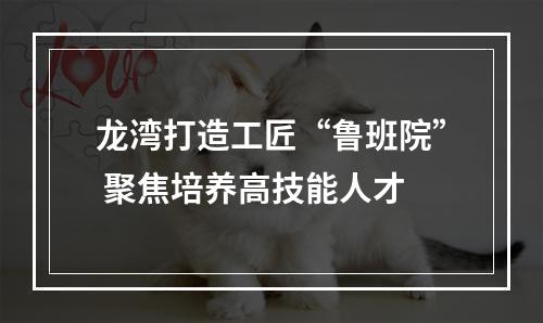 龙湾打造工匠“鲁班院” 聚焦培养高技能人才