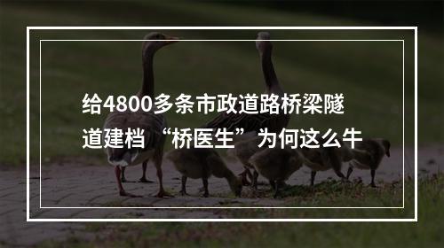给4800多条市政道路桥梁隧道建档 “桥医生”为何这么牛