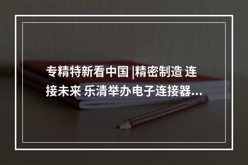 专精特新看中国 |精密制造 连接未来 乐清举办电子连接器产业创新发展大会