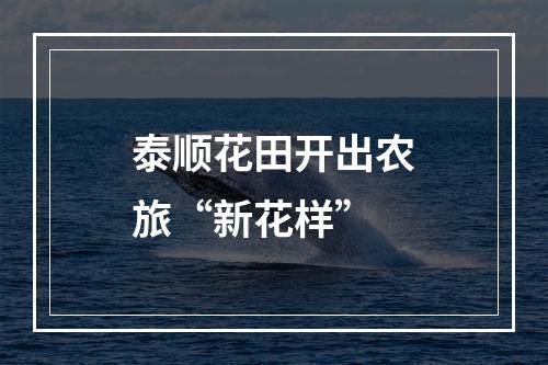 泰顺花田开出农旅“新花样”