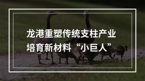 龙港重塑传统支柱产业 培育新材料“小巨人”