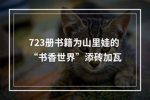 723册书籍为山里娃的“书香世界”添砖加瓦
