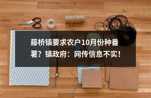 藤桥镇要求农户10月份种番薯？镇政府：网传信息不实！